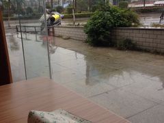 -风致肯麦基(忠信店)