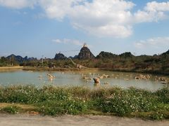 -龙谷湾旅游休闲度假区