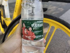 -深圳湾公园(南山区)