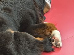 -和它·交个朋友·狗咖猫咖(爱琴海店)