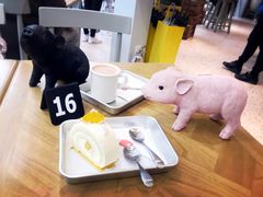 -WHEN PIGS FLY当猪飞
