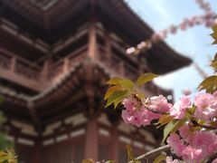 -西安青龙寺遗址景区