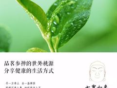 -七宝如来禅茶馆