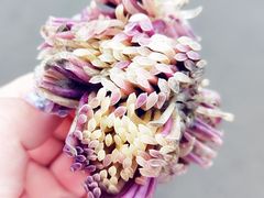 -东戴河风景区-止锚湾