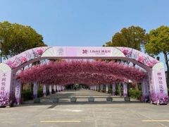 -南汇桃花村