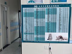 -中农国际动物医院24小时·猫科·骨科·急重症中心