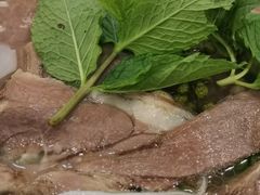 -攀枝花·任德琼·盐边羊肉米线