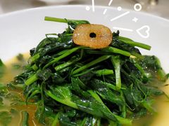 -人间采蜜(海信广场店)