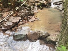 -火炉山森林公园