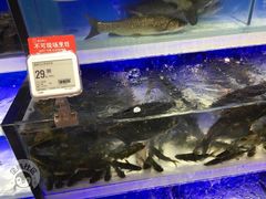 -盒马鲜生(莱蒙都会店)