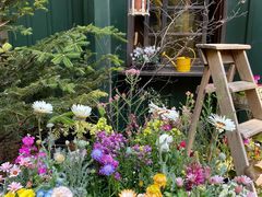 -三鹰之森吉卜力美术馆