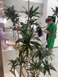 -禾曼造型