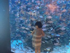 -成都浩海立方海洋公园