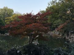 -中山公园