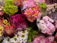 -越秀西湖花市(广州城市广场花卉店)