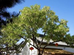 -封龙山风景区