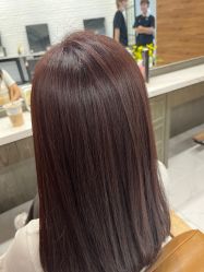 -程Studio