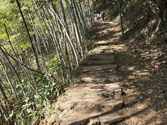 -莫干山风景区