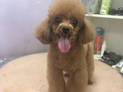 -纳吉亚猫专科动物诊疗中心(蒋宅口分院)