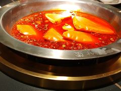 -蜀九香火锅(彩虹店)
