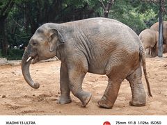-广州长隆野生动物世界