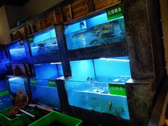 水产区-陈先进鱼馆·地道农家菜(湖墅南路店)