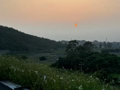 -天台国家森林公园水上茶乡九鹏溪