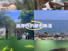 -广东惠东海龟国家级自然保护区
