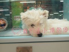 -FAELING PETS美天灵宠物(合生汇店)