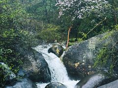-大围山国家森林公园