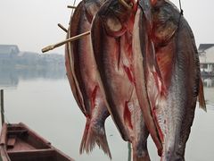 -东钱湖旅游度假区