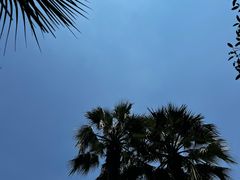 -上海浦东星河湾酒店