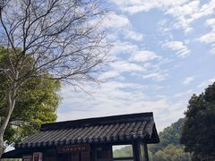 -中国茶叶博物馆(双峰馆区)