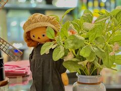 景观位-Cafe Alice咖啡爱丽丝(奥城店)