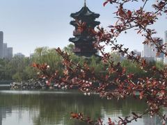 -迎泽公园