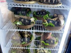 -爱膳菌锅锅(阳南店)