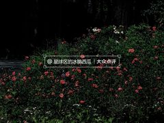 -东湖落雁景区