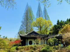 -红梅公园