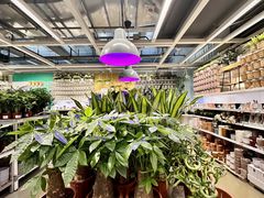 -宜家家居(宝山商场店)