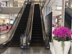 -远洋未来广场(育慧北路店)