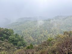 -灵山
