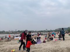 -九龙湖公园