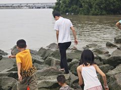 -宝安西湾红树林湿地公园