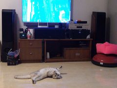 -秋林公司(北大街店)