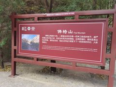-圣莲山风景区