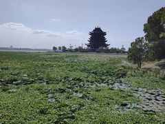 -重元寺香积厨素斋馆