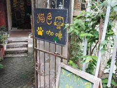 -猫色咖啡·猫咖