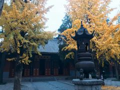 -洛阳白马寺