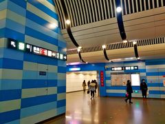 -大望路(地铁站)