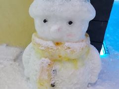 -世界之窗阿尔卑斯冰雪世界